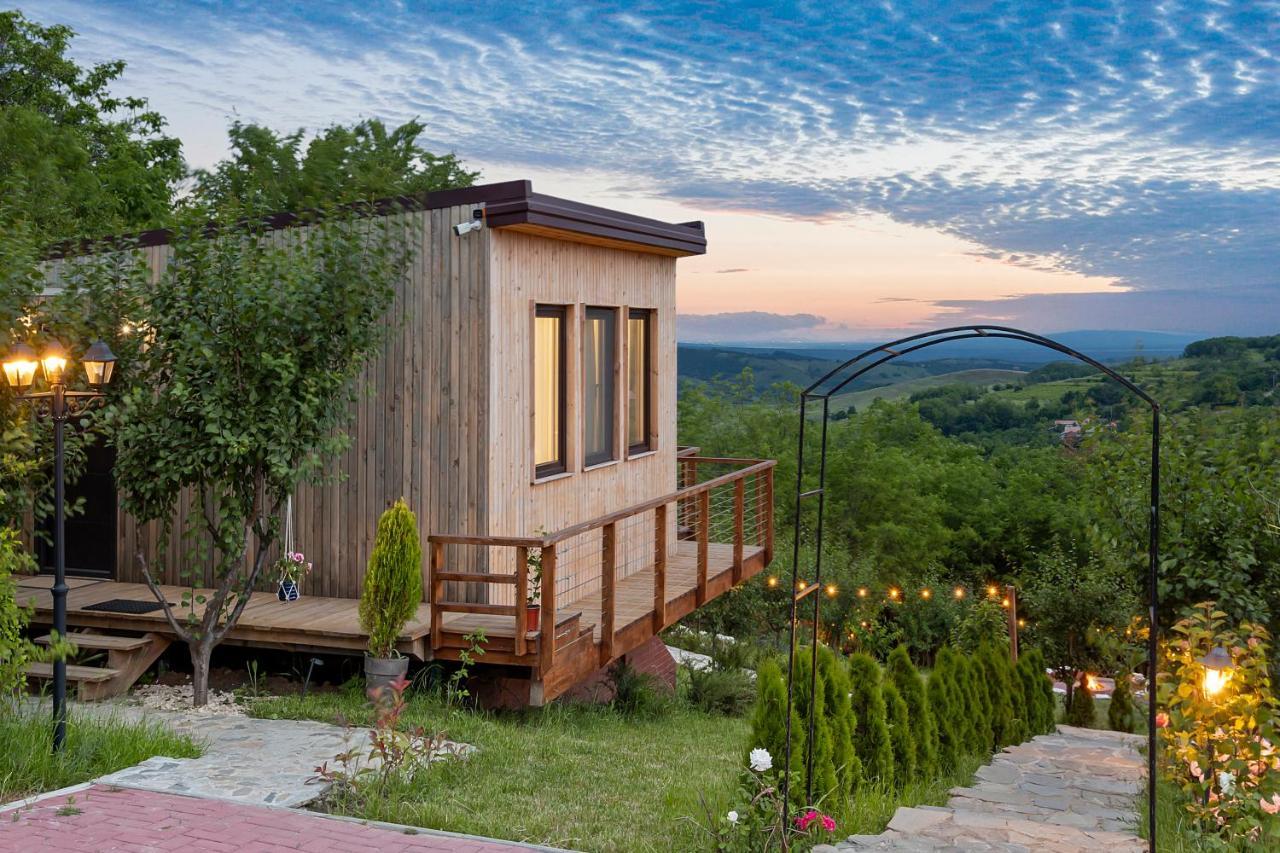 Arta Chalet Ceptura de Jos Экстерьер фото