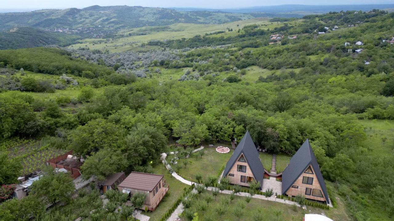 Arta Chalet Ceptura de Jos Экстерьер фото