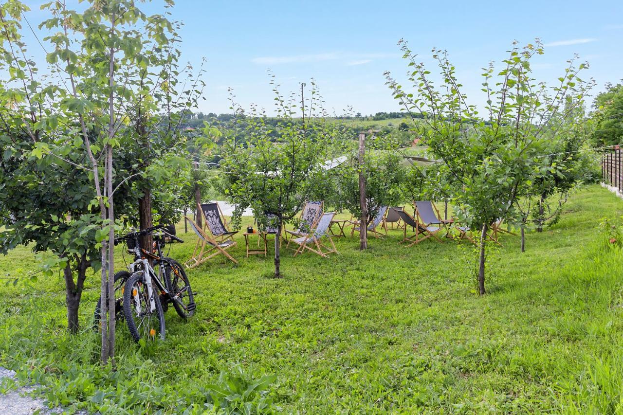 Arta Chalet Ceptura de Jos Экстерьер фото