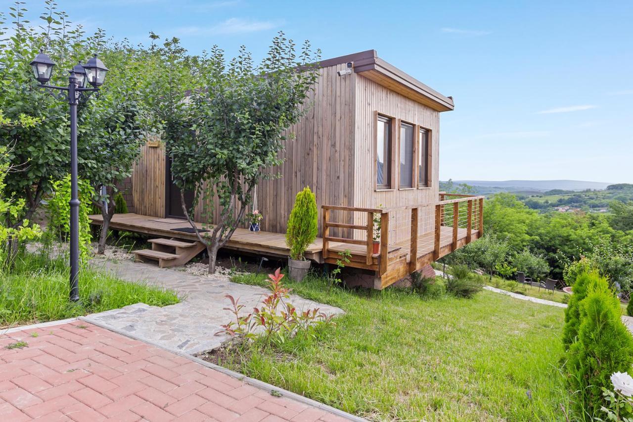 Arta Chalet Ceptura de Jos Экстерьер фото