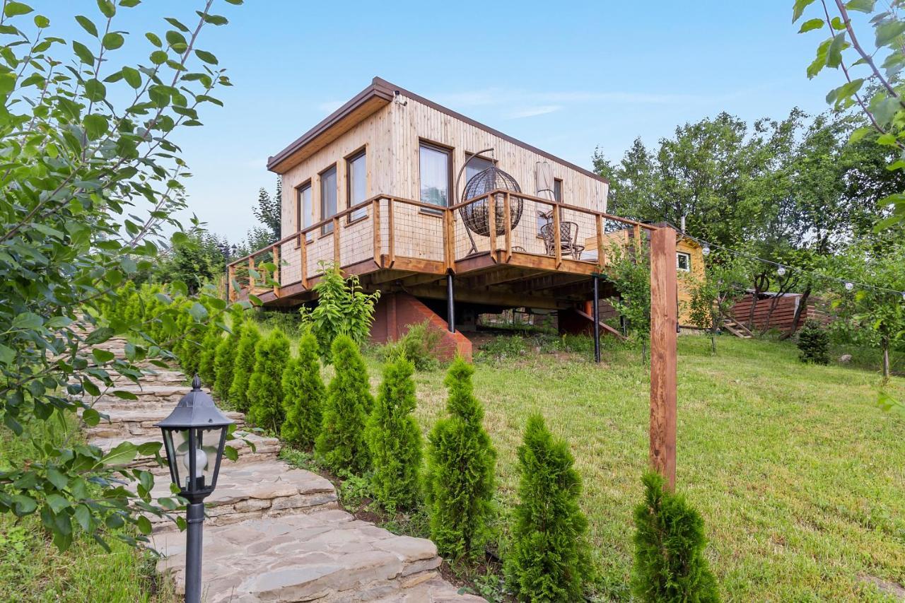 Arta Chalet Ceptura de Jos Экстерьер фото